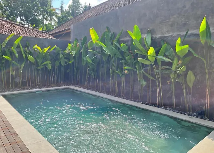 Villa Eka Wood